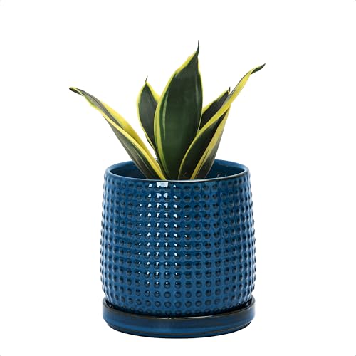 D'vine Dev Beaded Ceramic Pot with Saucer, 4 in, Midnight Blue, 27-C-Z-3 - color: Midnight Blue, size: 4.3 Inch