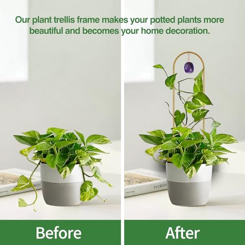 Wellsign Garden Small Plant Trellis for Climbing Plants Indoor Outdoor - color: Gold