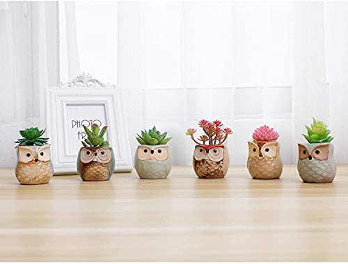 T4U Owl Succulent Pots, Mini Ceramic Gift Pots with Drainage, Retro 6 Pack - color: Owl, size: Pack of 6