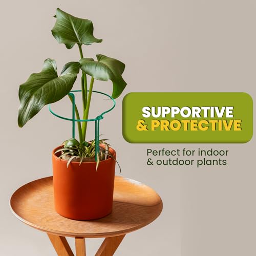 6 Pack Plant Support Stakes – Peony Cages and Supports –10" W x 16" - 24" H - size: 6 Pack (up to 24")
