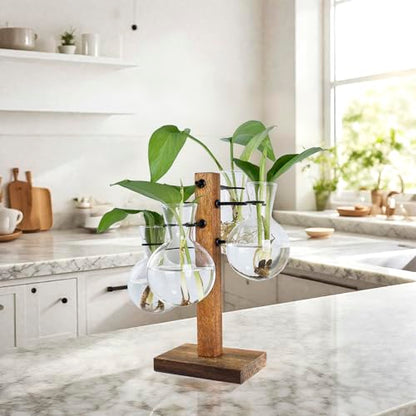 Plant Propagation Station with Acacia Wood Stand and 4 Glass Vases - size: Small