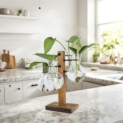 Plant Propagation Station with Acacia Wood Stand and 4 Glass Vases - size: Small