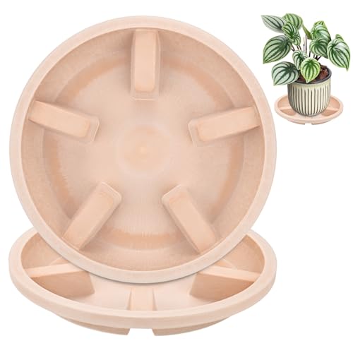 M METERXITY 2-Pack Plant Saucers, 8 Inch OD Anti-Rot Root Resin Flower Pot Plant Saucers for Indoor/Outdoor, Flowerpot Drip Tray [6.3 Inch ID, White Pottery] - color: White Pottery, size: 8 Inch OD
