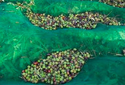 Ez4garden Fruits Harvest Collecting Netting Walnut Olive Chestnut Plum Hazelnut Picking Collector Net,Size:L26.2'xW19.6'(8x6m) - size: L26.2'xW19.6'(8x6m)