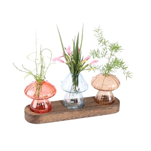 Mushroom Propagation Station, 3 Glass Vases, Wood Stand
