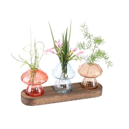 Mushroom Propagation Station, 3 Glass Vases, Wood Stand