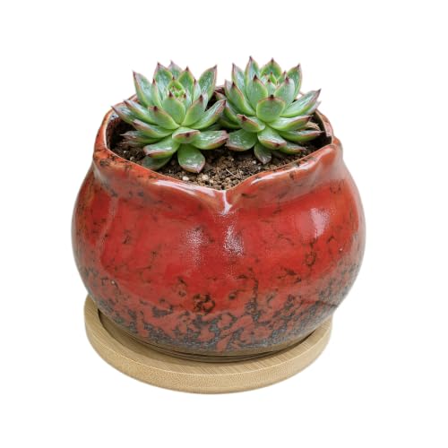 Cute 4" Round Ceramic Home Garden Decoration Succulent Cactus Flower Pots Container -Plant Not Included，Red - color: Red