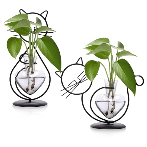 Plant Terrarium Propagation Station Gifts for Women Cat Lover - color: Gray