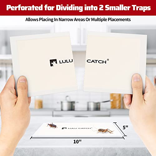 LULUCATCH Cricket Insect Glue Traps - 12 Pack Bug Cockroach Sticky Traps, Large Spider Trap with Pre-Baited Attractant, Highly Effective Glue Boards Indoor, Non-Toxic Pet Safe, Easy to Use - size: 12 Pack