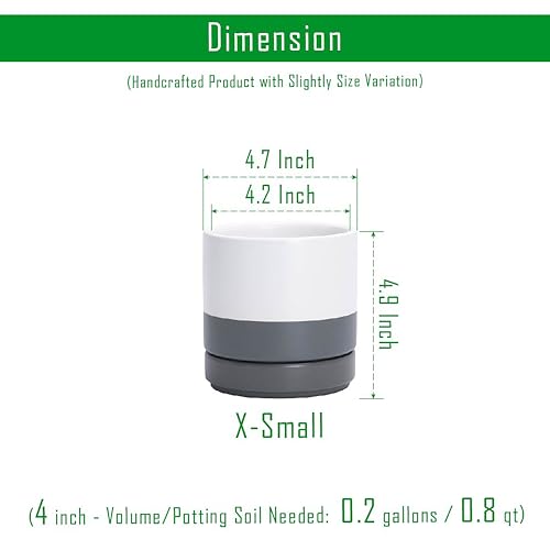 D'vine Dev 2-Pack Ceramic Pots with Saucers, White/Grey, 4.7 in, 94-V-B-6 - color: White/Speckled Grey, size: 4.7 Inch