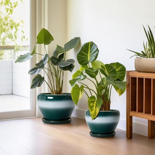 Ceramic 10+8+6 Inch Planter, Ceramic Flower Pots, Green-White - color: Green-white