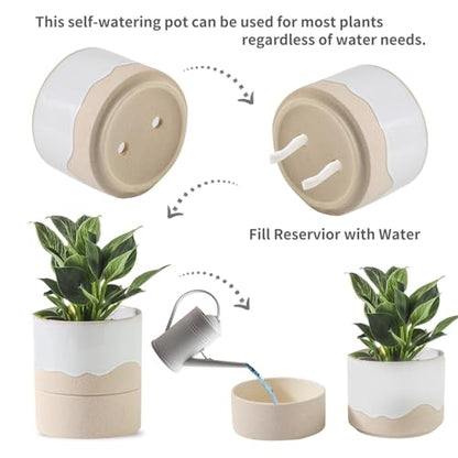 Nihow Self Watering Ceramic Planter, 4.5+6 Inch, White & Nature - color: White & Nature, size: 4.5"+6" Self Watering