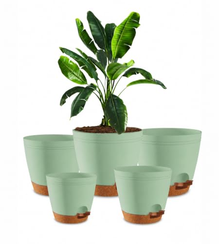 Utopia Home Self Watering Pots for Indoor Plants 6.8"/6.4"/5.9"/5.5"/4.9" Set of 5, Planters for Indoor Plants, Small Multi-Size Flowerpot, Plant Pots with Drainage & Reservoir (Olive Green) - color: Green, size: Pack of 5