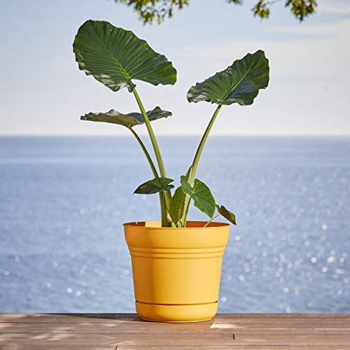 Bloem Saturn Planter with Saucer, 7", Deep Sea (SP0731) - color: Deep Sea, size: 7"