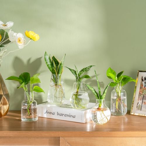 Mkono Propagation Vases 5 Glass Jars Station for Hydroponic Plants, Clear - color: Clear