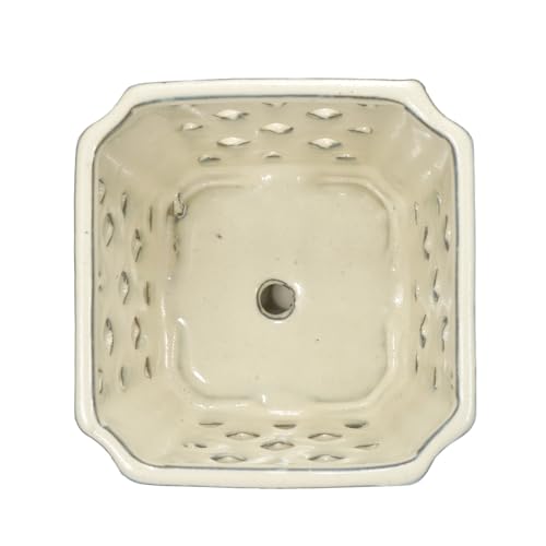 W&W Orchid Pot with Holes and Saucer for Repotting and Better Grow, Cream White, 7" - color: Cream White
