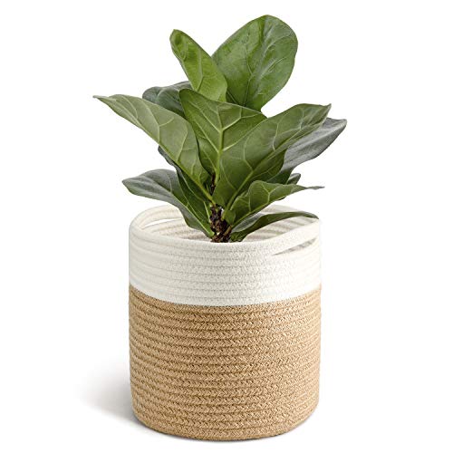 TIMEYARD Rope Plant Basket, Planter for Indoor Plants, Jute Mixed White - color: Jute Mixed White, size: 8" x 8"