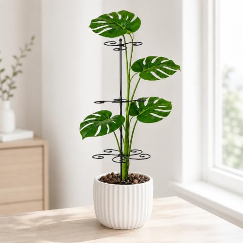 GOOXIM Monstera Support 24" Heavy Duty Black Plant Stakes for Indoor Growth - color: Black