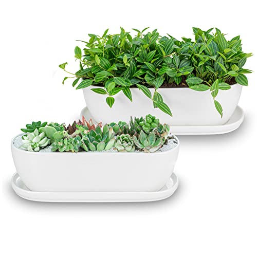E-liu 11+14 inch Ceramic Plant Pots with Drainage Holes Saucers, Set of 2 - color: White, size: 11+14 inch Set