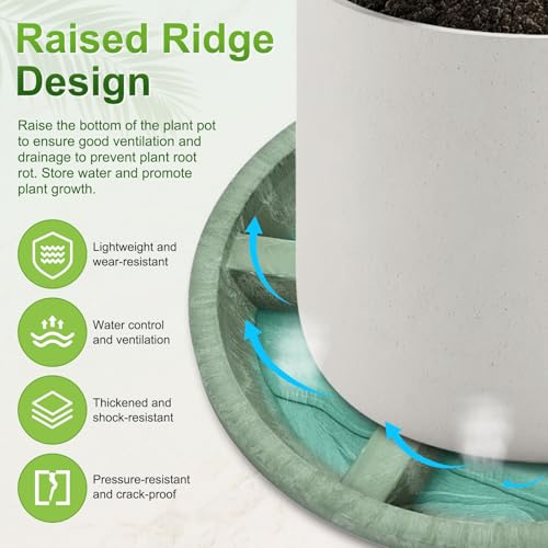 M METERXITY 2-Pack Plant Saucers, 6 Inch OD Anti-Rot Root Resin Flower Pot Plant Saucers for Indoor/Outdoor, Flowerpot Drip Tray [4.7 Inch ID, Green] - color: Green, size: 6 Inch OD