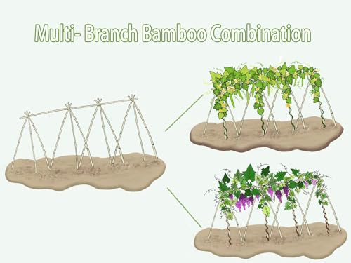 Bamboo Stakes,4Feet,65Pcs,Plant Bamboo Post,GUANGYE,Bamboo Garden Stakes - size: 4Ft,65Pack