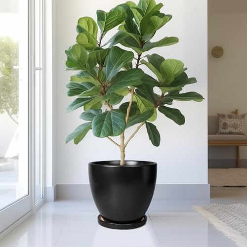 Ceramic Planter - 10 Inch Plant Pot with Drainage Hole and Tray, Round Flower Pots, Planters for Indoor Plants, Modern Room Garden Patio Bathroom Living Room Porch Home Decor, Black - color: Matte Black, size: 10 Inch