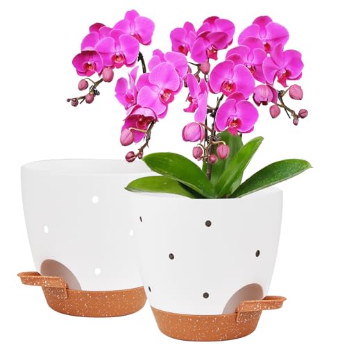 Vanslogreen 6 Inch Orchid Pots with Holes, 2 Pack Self Watering Planters for Orchids Plastic Orchid Pot Plant Flower Pots for Orchids Indoor Outdoor (White with Brown) - color: Style Round-white With Brown
