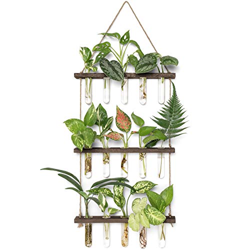 Mkono Plant Propagation Station, 3 Tier Brown Wall Hanging Vase Test Tubes - color: Brown, size: Medium