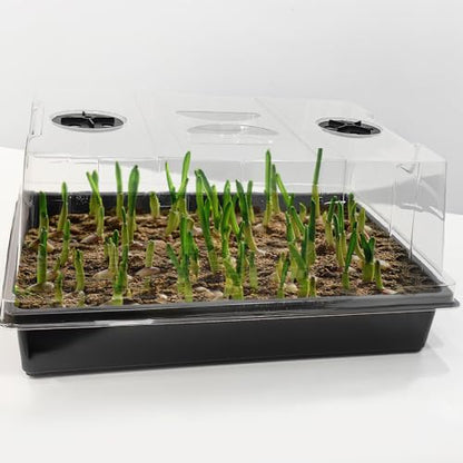 RooTrimmer 4-Pack Seed Starter Trays with 5" Tall Humidity Domes - size: 4p Trays+Domes