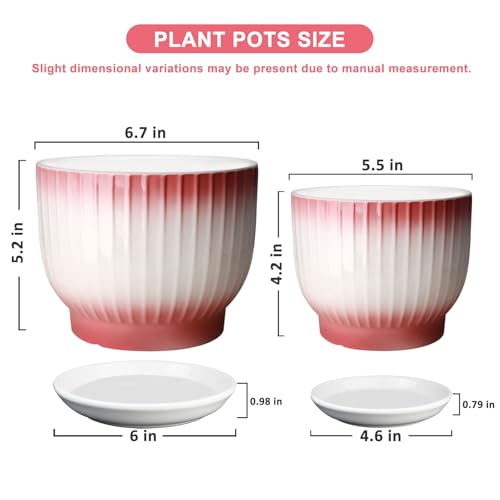 Ceramic Plant Pots, Set of 2, Pink + White, 6.7 + 5.5 Inch - color: Pink + White