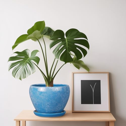 Ceramicfor 6 Inch Plant Pot - Ceramic Planter Pot with Drainage Hole and Saucer, Glaze Succulent Pot Modern Round Flower Pot for Indoor Plants, Blue - color: Gemstone Blue, size: 6 Inch