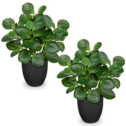 14.5" Artificial Plants Indoor Home Decor Set of 2 Faux Peperomia Plants - color: 2 Sets # Total Green