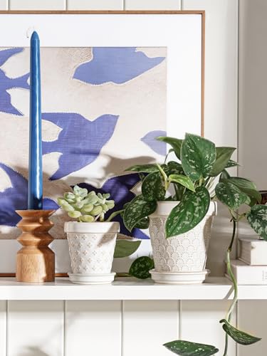 LE TAUCI Ceramic Succulent Pots, 4 Inch Small Plant Pot for Indoor Plant Cactus, Embossed Flower Pots with Drainage Hole & Saucer - Set of 4, Arctic White - size: 4 inch