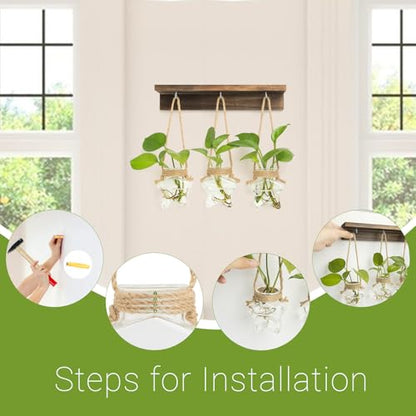 XXXFLOWER Wall Hanging Propagation Station with 3 Star-Shaped Glass Vase - size: 3 Star-Shaped Glass Vases