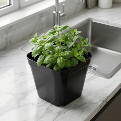 JEUIHAU 150 Packs 4 Inch Black Plastic Square Nursery Pots