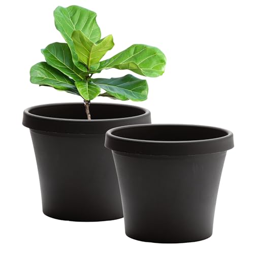 Bloem Terra 14" Plastic Planter, 5 Gallon, Black, 2-Pack - color: Black, size: 14"