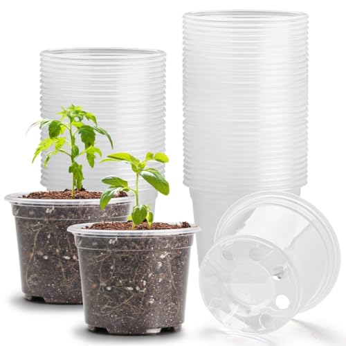RooTrimmer Clear Seedling pots 100-Pack 3.2 Inches Round for Seeds Starter Pots, Seeds Germination Transparent Clean Pots with Drainage Holes(100 Pcs, 3.14Inch) - size: 3.2Inch 100P