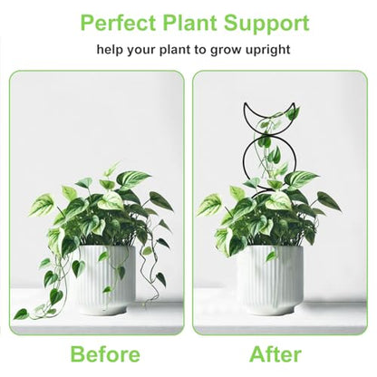 4 Packs Trellis for Climbing Plants Indoor, HENABLE Small Garden Metal Trellis for Potted Plants Outdoor for Vine Ivy Flower Plant Support, 4 Different Black Iron Patterns - size: 15 IN