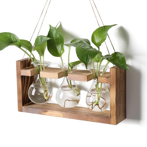 Plant Propagation Station Plant Terrarium Unique Birthday Gifts for Women - color: Transparent