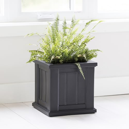 Mayne Cape Cod 14in Self-Watering Square Planter, Black - color: Black, size: 14in