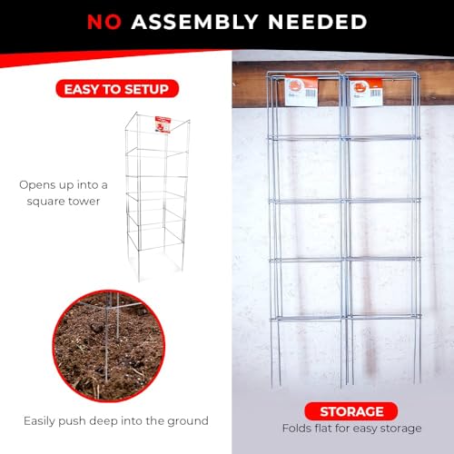 Cedar Ridge Square Foldable Tomato Cages - Heavy Duty Plant Support for Vegetable Garden, Vegetables, and Flowers - Stakes and Trellis for Climbing Plants - Made in The USA (13x40) - 3-Pack - size: 13 x 40 inches