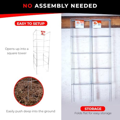 Cedar Ridge Square Foldable Tomato Cages - Heavy Duty Plant Support for Vegetable Garden, Vegetables, and Flowers - Stakes and Trellis for Climbing Plants - Made in The USA (13x40) - 3-Pack - size: 13 x 40 inches