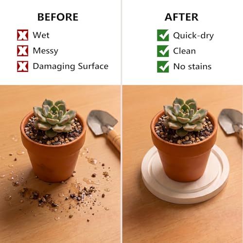 4" Instantly Dry Diatomite Stone Plant Saucer - 2 Pack, White - color: White, size: 4" (2 Pack)