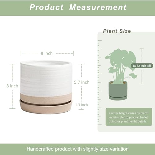 HERDUK 8 Inch Pots for Plants, Ceramic Planter Pot with Drainage Hole & Saucer, Indoor or Outdoor Cylinder Round Planter Pot, Matte White & Beige - color: White & Beige, size: 8 Inch