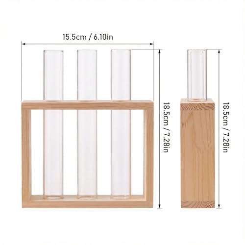 3-Tube Plant Propagation Station, Wall-Mounted Terrarium with Propagation Tubes – Ideal for Indoor Plant Propagation in Living Rooms, Bedrooms & Offices (Uses Test Tubes for Plants)