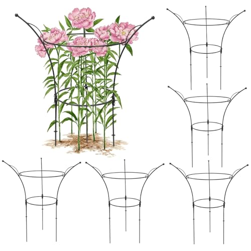 6 Pack Peony Cages and Supports Cages 13" D x 22.8" H Heavy Duty Metal Support Frame for Peonies & Roses Natural Bouquet Shape Garden Stakes for Outdoor Plants Flowers Ornamental (Black) - color: Black, size: 6 Pack