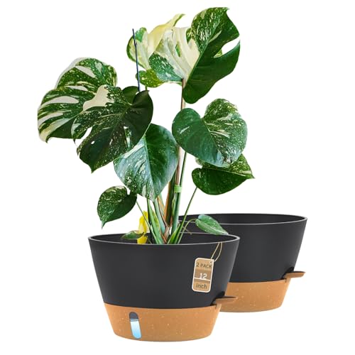 12 Inch Self Watering Pot with Visual Water Window, Drainage Holes & Watering Lip, Set of 2 Large Plastic Planters for Indoor Outdoor Plants, Modern Decorative Flower Pot (Grey) - color: Black, size: 12 Inch-Set of 2