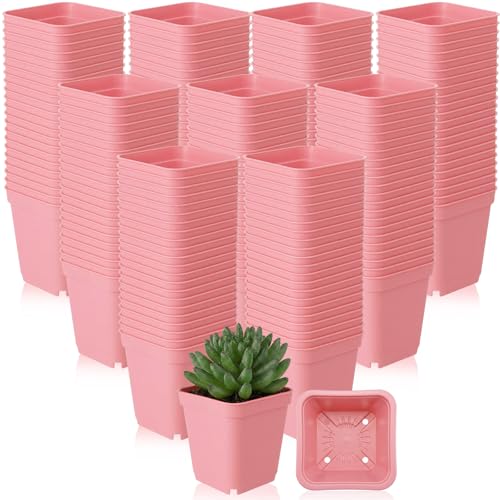 Yaomiao 200 Pack 3 Inch Pink Nursery Pot Square Flower Pots Plastic Plant Succulent Planter Seed Starting Pots with Drainage Holes for Garden Office Balcony Decor Indoor Outdoor Plant Seedling - color: Pink