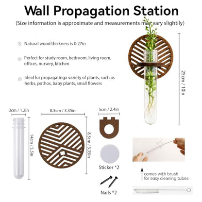 Artilady Plant Propagation Station Wall Hanging, Wood Arch Terrariums Tube - color: Round