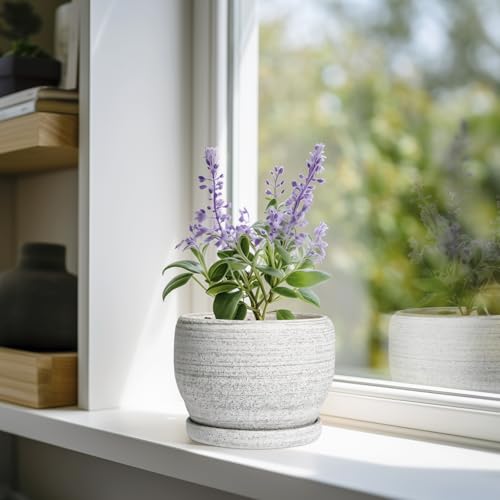 SQOWL Ceramic Planters for Indoor Plants - 6 Inch Plant Pot with Drainage Hole and Saucer, Small Ceramic Flower Pot, Round Decorative Planter Outdoor, Living Room Decor, Garden Gifts for Women, Gray - color: Brushed Gray, size: 6 Inch